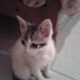 Claudio Ochoa Escamilla - Facebook