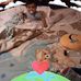 Claudio Olave - Facebook