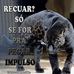 Claudio Pandolfi Hibener - Facebook