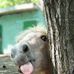Claudio Rosales - Facebook
