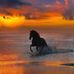 Claudio Saenz - Facebook