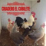 Claudio Salas - @cubiletesinaloa - Instagram