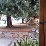 Claudio Talarico - @tally2960 - Instagram