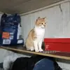 Claudio Tapia - @claudio.tapia493 - TikTok