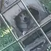 Claudiu Moldovan - @claudiu.moldovan66 - TikTok