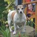 Claus Cramer - Facebook
