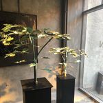 Claus Rasmussen - @clausrasmussen_ - Instagram