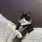 @clay_acker_ - Instagram