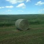 Clay Ackerson - @clayackerson - Instagram