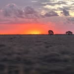 Maclay Bright - @maclaybright - Instagram