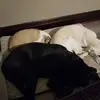 claytoncoker7 - @claytoncoker7 - TikTok