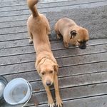 Clay Davidson - @claydavidson03651 - Instagram