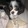 clay. - @clay.doe - TikTok