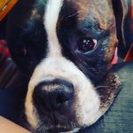 clay douglas - @oside_clayboy - Instagram