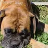 Clayton Downing - @clayton.downing - TikTok