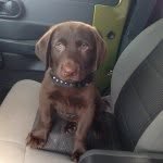 Clay Dugger - @cucmd1 - Instagram