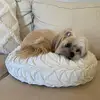 user4706726131962 - @claydunbar - TikTok