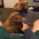 @clayduvall36 - Instagram