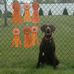 Clay Edstrom - Facebook