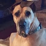 Clay Edwards - @cedwa64566 - Instagram