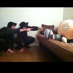 Clay Edwards - @clay.edwards.733 - Instagram