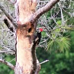 Clay Ennis Photography - @clay_ennis_nature_photography_ - Instagram