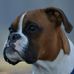 Benjamin Cassius Clay Epperson "Ben" - Facebook