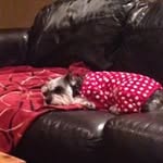 Clay Epperson - @clay.epperson - Instagram