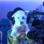 @clayerbug - Instagram