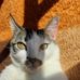 Erickson Clayton - Facebook
