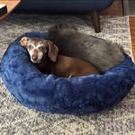Clay Ewing - @clay.ewing.75 - Instagram
