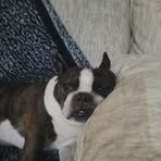 Clay Farley - Facebook