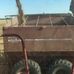 Clay Farris - Facebook