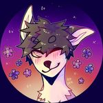 my birb will lick you beware - @clay._.fox - Instagram