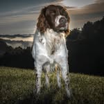 Clay Gilbert - @claygilbert - Instagram