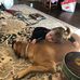 Clay Greene - Facebook