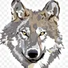 claycityguesswhœ - @claycityguesswh - TikTok