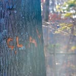 Clayharrison - @clay_harrisons_photography - Instagram
