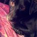 Clay Hendricks - Facebook