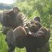 Clay Hicks - Facebook