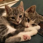 Clay & Hobbs - @clayandhobbs - Instagram