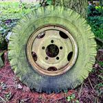 clay hoffman - @coburgpines - Instagram