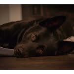 Clay Hoyt - @clayhoyt - Instagram