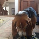 Clay Huber - @clay_huber - Instagram