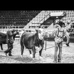 Clay Huber - @clayhuber_001 - Instagram