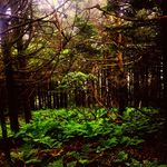 Clay Kiser - @kiser._photography - Instagram