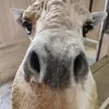 Clay Langley - @clay.langley - TikTok
