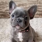 Clayde Mc Lein - Facebook