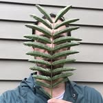Clay Maxwell Jordan - @clay_maxwell_jordan - Instagram
