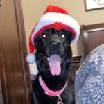 [SG] Clay McCoy - @clay_mccoy07 - Instagram